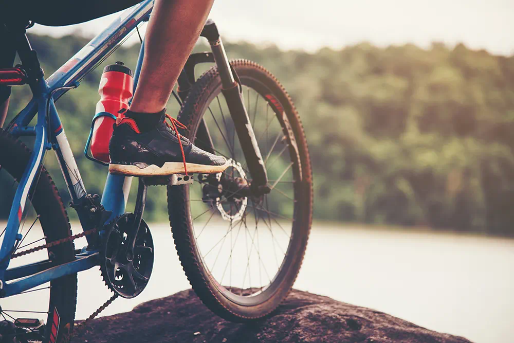 Plan nutricional Online para Ciclistas
