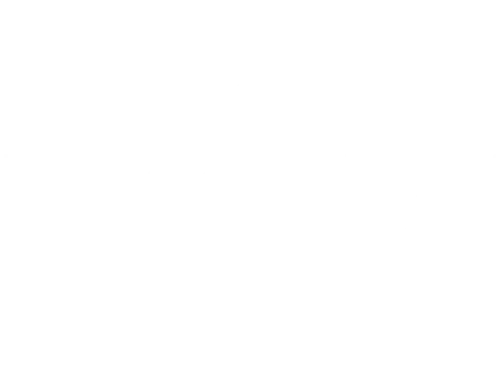 Logo Now Sports Health Nutrition