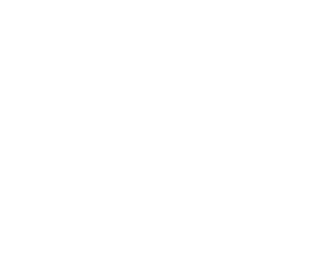 Logo Now Sports Health Nutrition
