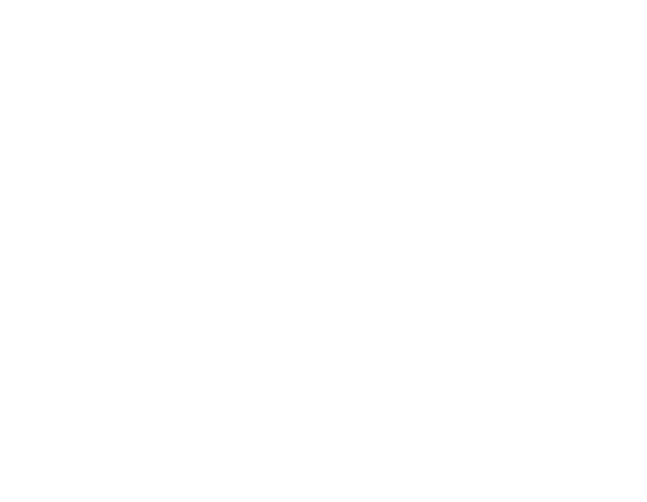 Logo Now Sports Health Nutrition
